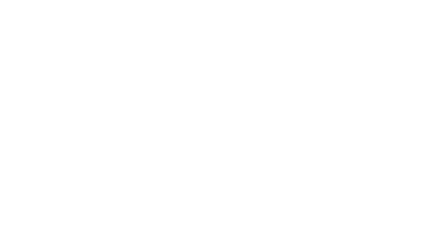 Skyfall Technology logo