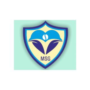 Msg Services